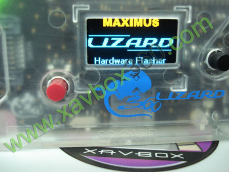 maximus 360 lizard